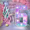 Radiant 4FT DIY Light Up Numbers for Celebrations ATHLEXES