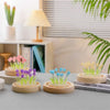 TulipGlow Handmade LED Night Light ATHLEXES