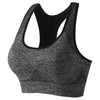 IvyFit Backless Padded Sports Bra ATHLEXES