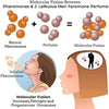 AttractEssence Men's Pheromone Fragrance Oil ATHLEXES