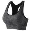 IvyFlex Backless Padded Workout Bra ATHLEXES
