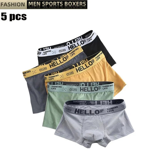  ATHLEXES