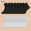 files/S3d76976557ce45d8bb98da91fc95d746i.webp