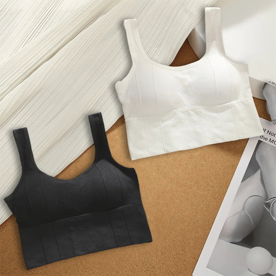 EssentialFit Seamless Sports Bra Collection ATHLEXES