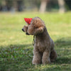 PawProtect Adjustable Dog Sun Cap ATHLEXES