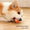 Smart Dog Interactive Play Ball Toy ATHLEXES