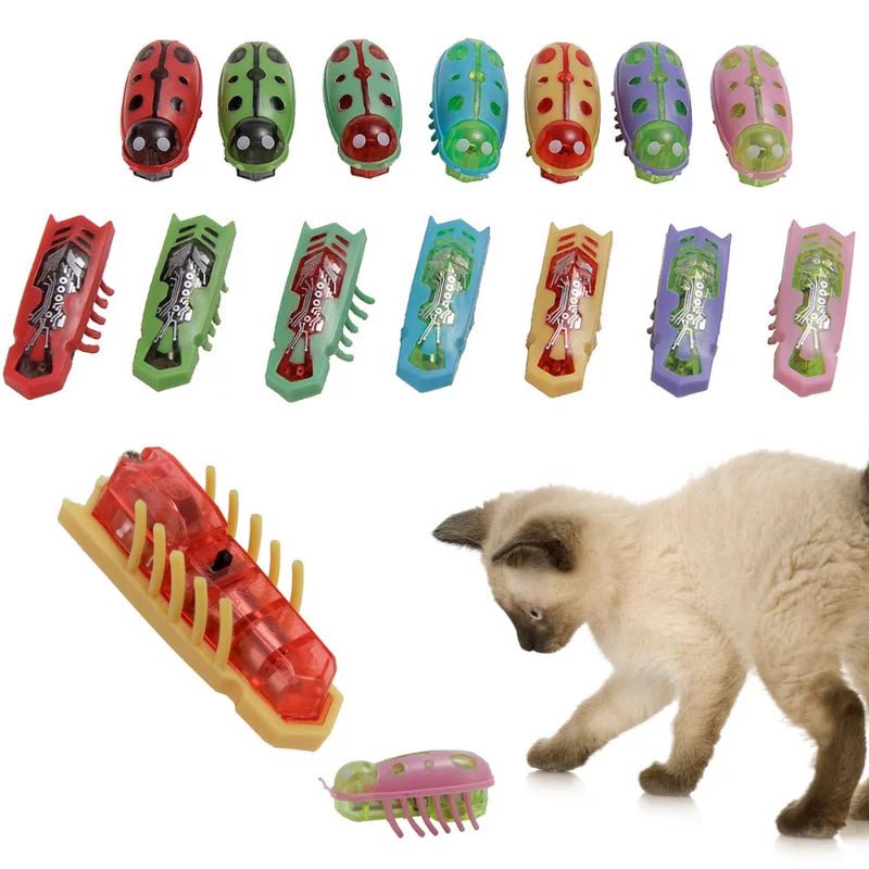 Electric Bug Cat Toy ATHLEXES