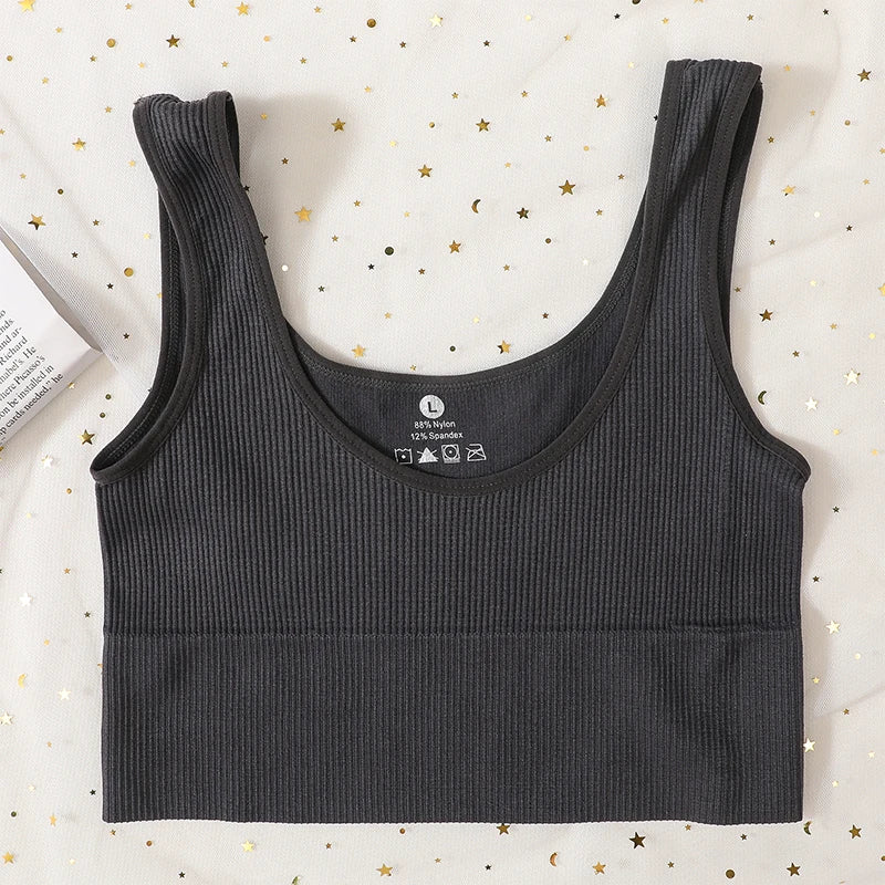 Seamless Comfort Ribbed Sports Bra ATHLEXES