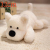 Cozy Friends Plush Cat and Dog Toy Set ATHLEXES