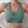Seamless Quick-Dry Yoga Sports Bra for Women ATHLEXES