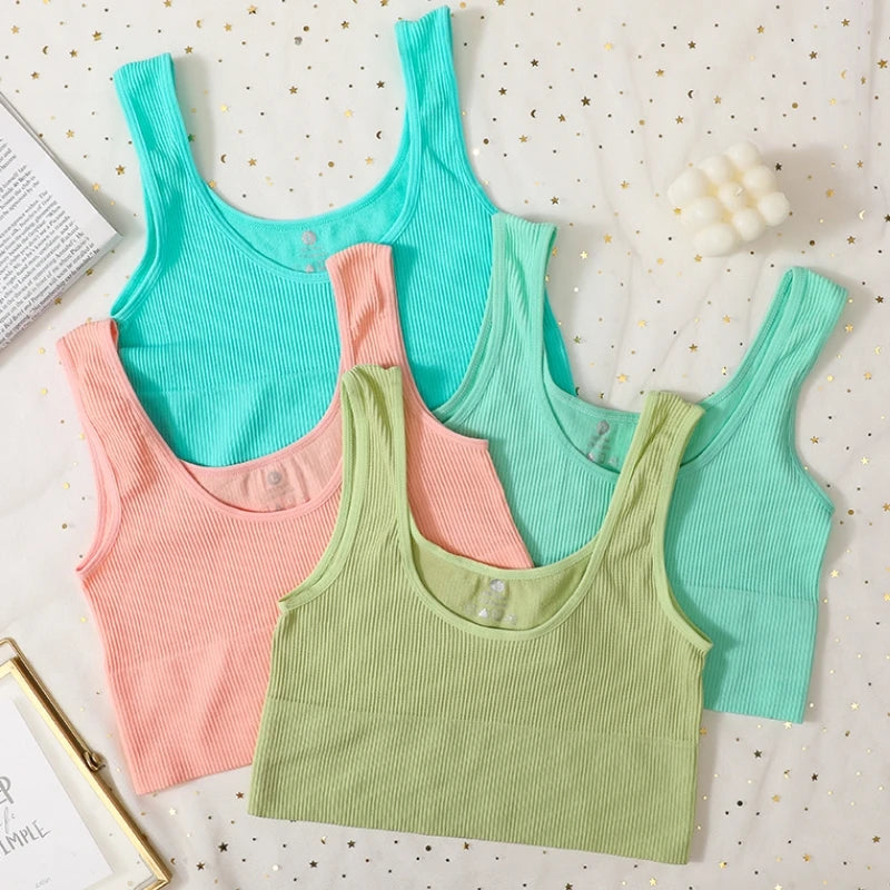 Seamless Comfort Ribbed Sports Bra ATHLEXES
