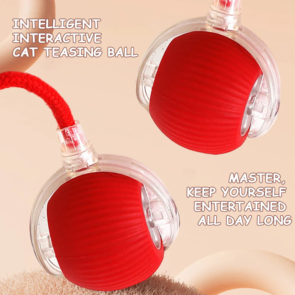 Playful Paws Interactive Ball Toys for Cats and Dogs ATHLEXES