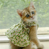 files/S4bfe1287cc964aa9b991e38de8903d26C.webp