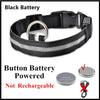 USB Charging LED Dog Collar ATHLEXES