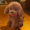 Realistic Teddy Dog Plush Toy for Kids ATHLEXES