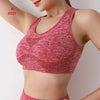 BreatheFit Push Up Sports Bra for Women ATHLEXES