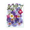 Pressed Floral Epoxy Kit for DIY Jewelry Crafts ATHLEXES