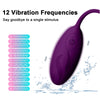 G-Spot Bliss Remote Control Love Egg Vibrator ATHLEXES