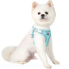 Reflective Dog Harness and Leash Set ATHLEXES