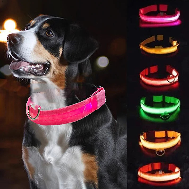 LED Glowing Dog Collar ATHLEXES