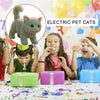 CuddleBot Interactive Robot Cat Toy ATHLEXES