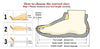Campus Trend Men's Sports Sneakers 2024 Collection ATHLEXES