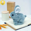 Joyful Bunny Plush Toy with Interactive Features ATHLEXES