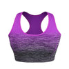 ElevateFit Seamless Sports Bra ATHLEXES