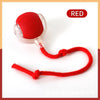 Smart Dog Interactive Play Ball Toy ATHLEXES