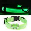 LED Glowing Dog Collar ATHLEXES