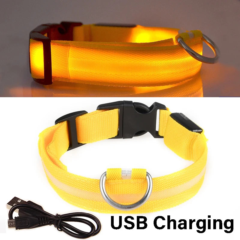 LED Glowing Dog Collar ATHLEXES