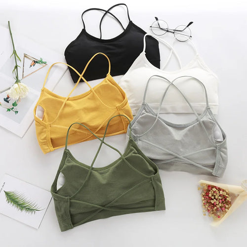  ATHLEXES