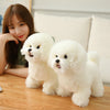 Adorable Plush Bichon Frise Dog Doll Toy ATHLEXES