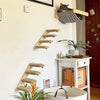 Wall-Mounted Cat Climbing Shelf ATHLEXES