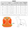 Reflective Cat Harness Set with Adjustable Leash for Small Pets ATHLEXES