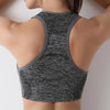 ActiveFit Seamless Sports Bra Top ATHLEXES