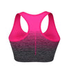 ElevateFit Seamless Sports Bra ATHLEXES