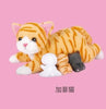 Talking Plush Cat Toy with Sound and Light ATHLEXES