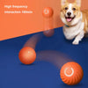 Smart Dog Interactive Play Ball Toy ATHLEXES