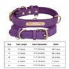Customized Soft Padded Leather Dog Collar with ID Tag ATHLEXES