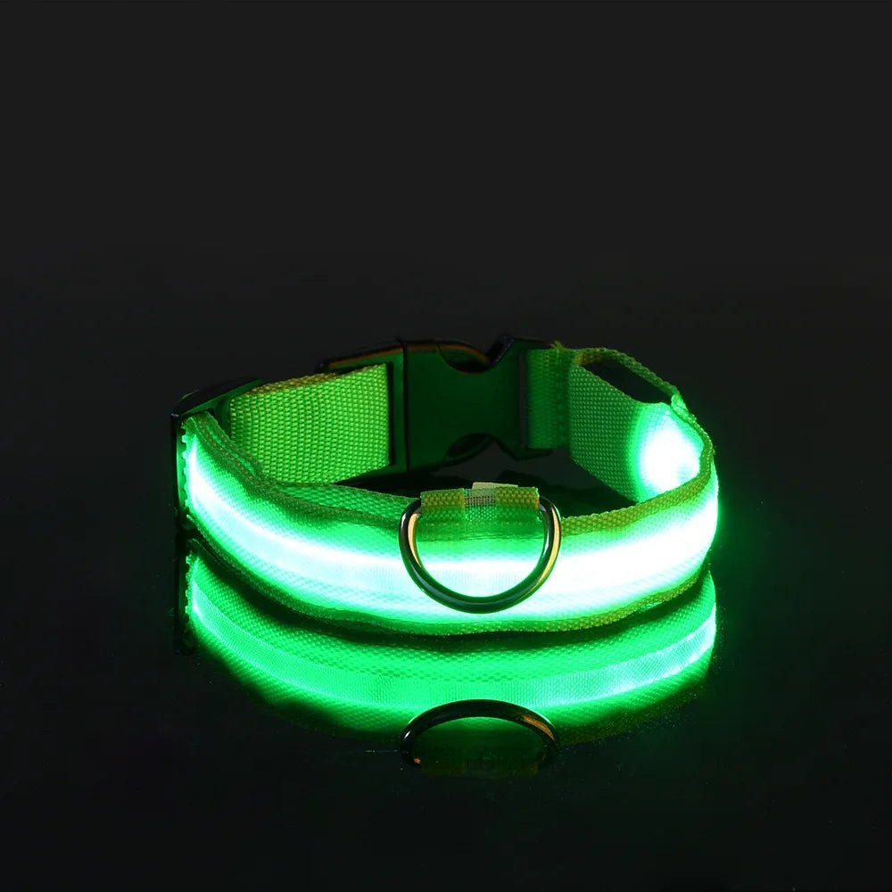 Nylon LED Night Safety Flashing Glow In The Dark Dog Leash Dogs Luminous Fluorescent Pet Dog Collar ATHLEXES