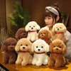 files/S5f2ed426a63b42a58531453f7972b73eG.webp