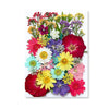 Pressed Floral Epoxy Kit for DIY Jewelry Crafts ATHLEXES