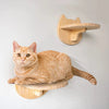 Wall-Mounted Cat Climbing Shelf ATHLEXES