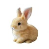 Interactive Plush Electric Bunny Toy ATHLEXES
