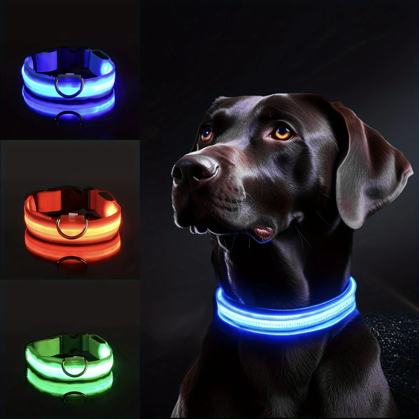 Nylon LED Night Safety Flashing Glow In The Dark Dog Leash Dogs Luminous Fluorescent Pet Dog Collar ATHLEXES