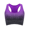 ElevateFit Seamless Sports Bra ATHLEXES