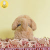 Plush Interactive Puppy Toy for Kids ATHLEXES