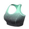 ElevateFit Seamless Sports Bra ATHLEXES