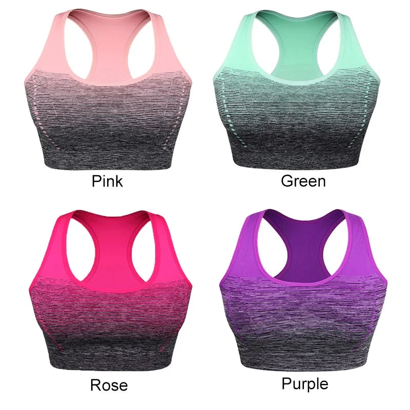 ElevateFit Seamless Sports Bra ATHLEXES